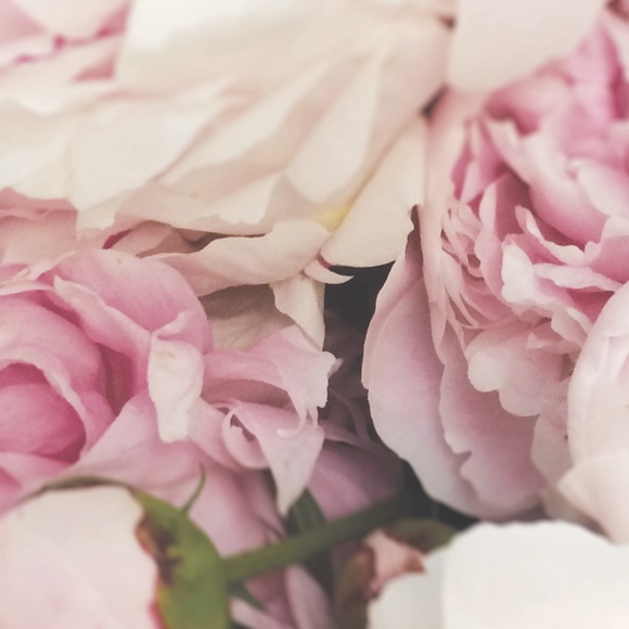 Meet your Posher! - Picture 1 of 1